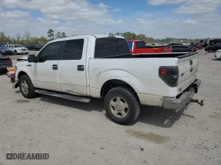 2013 Ford F-150 XL with VIN 1FTEW1CM0DKE02037, listed as a Copart auction lot 49482885 with 419,465 mi miles and Salvage Title. Bid and sale history available at carsss.com. Image 2.
