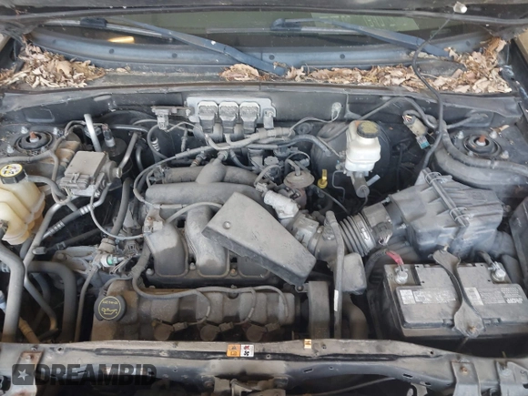 2005 Ford Escape XLT with VIN 1FMCU93125KA89457, listed as a IAAI auction lot 42508439 with 104,158 mi miles and . Bid and sale history available at DreamBid. Image 10.