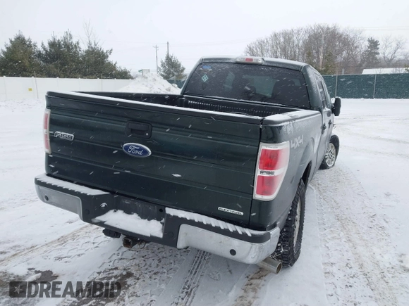 2013 Ford F-150 with VIN 1FTVW1EF4DKE07465, listed as a IAAI auction lot 41601235 with 131,721 mi miles and . Bid and sale history available at DreamBid. Image 4.