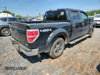 2010 Ford F-150 XL with VIN 1FTFW1EV9AFA81260, listed as a Copart auction lot 63248525 with 141,029 mi miles and Clean title. Bid and sale history available at DreamBid. Image 3.
