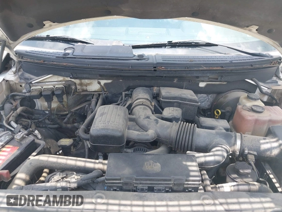 2009 Ford F-150 XL with VIN 1FTPX14V09FA18532, listed as a IAAI auction lot 42626521 with 182,113 mi miles and . Bid and sale history available at DreamBid. Image 10.