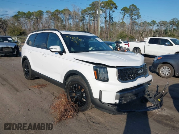 2023 Kia Telluride SX Prestige X-Pro with VIN 5XYP5DGC6PG351443, listed as a IAAI auction lot 41548694 with 32,665 mi miles and . Bid and sale history available at DreamBid. Image 1.
