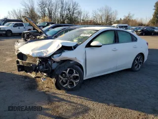 2019 Kia Forte LXS with VIN 3KPF24AD5KE137250, listed as a Copart auction lot 42624475 with Not provided miles and Salvage title. Bid and sale history available at DreamBid. Image 1.