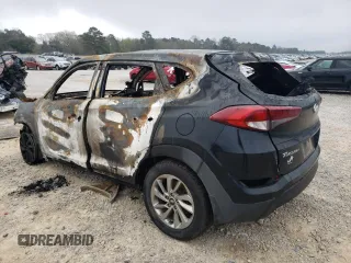 2017 Hyundai Tucson SE with VIN KM8J23A44HU455869, listed as a Copart auction lot 48906865 with Not Provided miles and Non Repairable. Bid and sale history available at DreamBid. Image 2.
