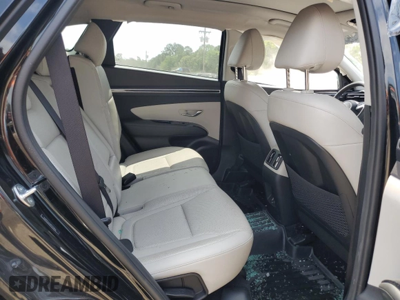 2023 Hyundai Tucson Limited with VIN 5NMJE3AE8PH291066, listed as a Copart auction lot 57952065 with 20,329 mi miles and Salvage title. Bid and sale history available at DreamBid. Image 10.