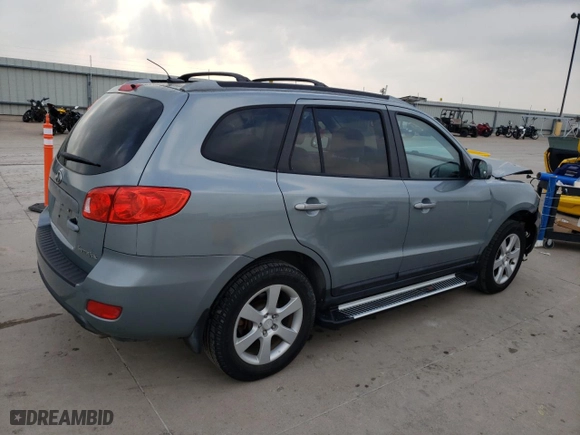 2009 Hyundai Santa Fe SE with VIN 5NMSH13EX9H281106, listed as a Copart auction lot 51635095 with 117,464 mi miles and Salvage Title. Bid and sale history available at carsss.com. Image 3.