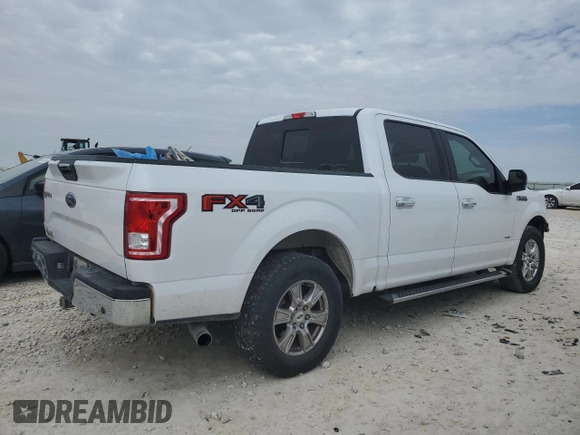 2017 Ford F-150 XL with VIN 1FTEW1EP6HKC53436, listed as a Copart auction lot 47133935 with 171,017 mi miles and Salvage Title. Bid and sale history available at carsss.com. Image 3.