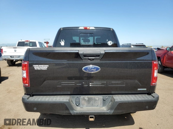 2019 Ford F-150 XL with VIN 1FTEW1E44KKE22110, listed as a Copart auction lot 61221835 with 111,308 mi miles and Clean title. Bid and sale history available at DreamBid. Image 6.