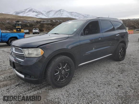 2011 Dodge Durango Citadel with VIN 1D4SE5GTXBC695969, listed as a Copart auction lot 49262315 with 146,252 mi miles and Salvage Title. Bid and sale history available at carsss.com. Image 1.