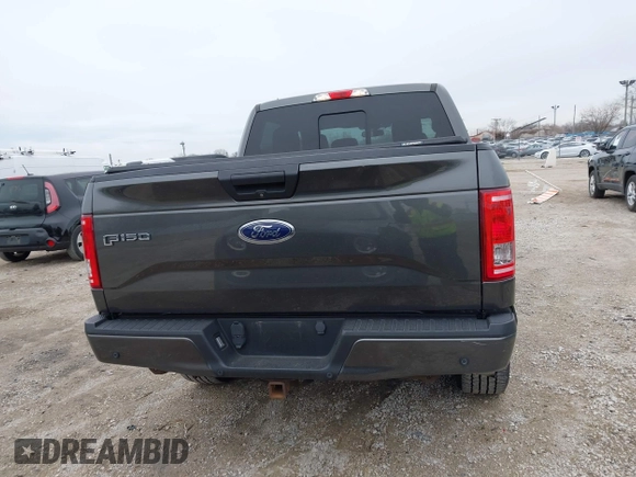 2015 Ford F-150 XLT with VIN 1FTEW1EG8FFC72205, listed as a IAAI auction lot 41971267 with 166,068 mi miles. Bid and sale history available at carsss.com. Image 16.