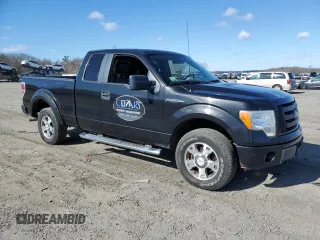 2010 Ford F-150 XL with VIN 1FTEX1E89AFB69003, listed as a Copart auction lot 50552935 with 132,374 mi miles and Clean Title. Bid and sale history available at carsss.com. Image 4.