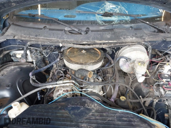 2001 Dodge 1500 with VIN 1B7HC16Y31S210305, listed as a IAAI auction lot 42423982 with Not provided miles and . Bid and sale history available at DreamBid. Image 10.