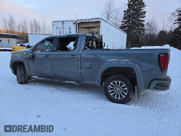 2022 GMC Sierra 1500 AT4 with VIN 1GTU9EET6NZ134151, listed as a Copart auction lot 84233604 with 0 mi miles and Salvage Title. Bid and sale history available at carsss.com. Image 2.