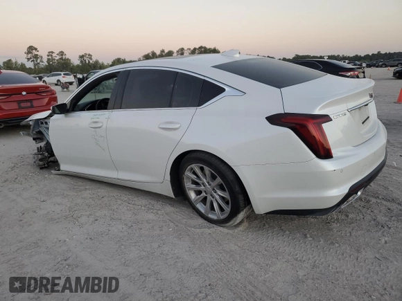 2022 Cadillac CT5 Luxury with VIN 1G6DW5RK6N0130537, listed as a Copart auction lot 77779674 with 41,840 mi miles and Salvage Title. Bid and sale history available at carsss.com. Image 2.