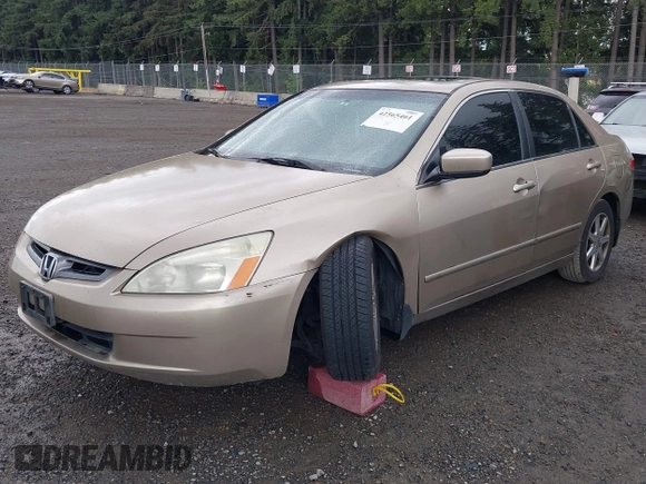 2004 Honda Accord EX with VIN 1HGCM66514A061236, listed as a IAAI auction lot 42565461 with 214,605 mi miles and . Bid and sale history available at DreamBid. Image 2.