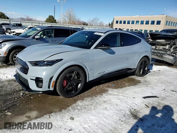 2024 Ford Mustang Mach-E GT with VIN 3FMTK4SXXRMA20187, listed as a Copart auction lot 88253255 with 3,464 mi miles and Salvage Title. Bid and sale history available at DreamBid. Image 14.