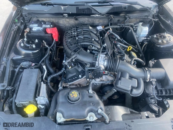 2012 Ford Mustang V6 Premium with VIN 1ZVBP8AM1C5249206, listed as a Copart auction lot 52828925 with 175,073 mi miles and Salvage Title. Bid and sale history available at carsss.com. Image 7.