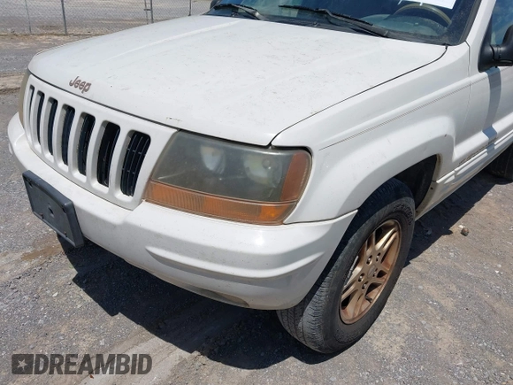 1999 Jeep Grand Cherokee Limited with VIN 1J4G268S1XC700940, listed as a IAAI auction lot 42328781 with 315,142 mi miles and . Bid and sale history available at DreamBid. Image 6.
