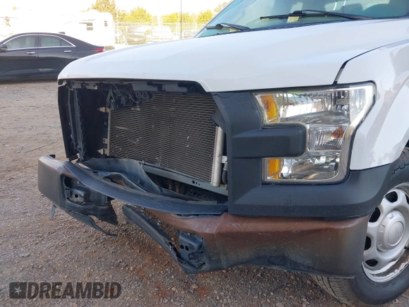 2017 Ford F-150 XL with VIN 1FTEX1C88HFB98232, listed as a IAAI auction lot 41732537 with 209,484 mi miles. Bid and sale history available at carsss.com. Image 17.
