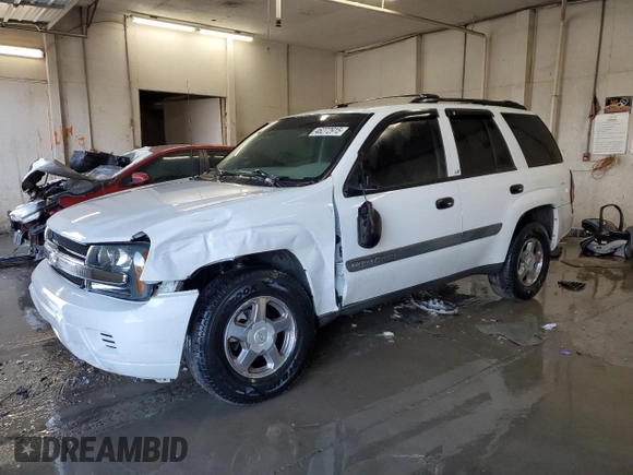 2004 Chevrolet TrailBlazer LS with VIN 1GNDS13S642165230, listed as a Copart auction lot 46272915 with 143,115 mi miles and Salvage Title. Bid and sale history available at carsss.com. Image 1.