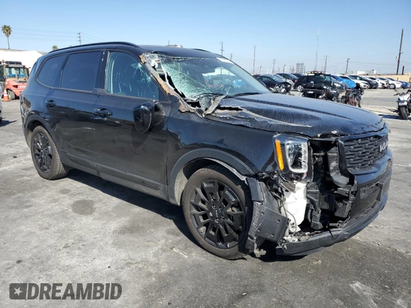 2022 Kia Telluride EX z VIN 5XYP3DHC8NG280019, wystawiony jako Copart lot #46366645 z przebiegiem 91 247 mil mil oraz Szkoda całkowita • Salvage title. Historia ofert i sprzedaży dostępna na DreamBid. Obrazek 4.
