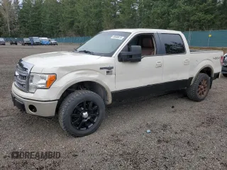 2009 Ford F-150 XL with VIN 1FTPW14V89KC35465, listed as a Copart auction lot 49930615 with 165,726 mi miles and Clean Title. Bid and sale history available at carsss.com. Image 1.