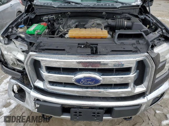 2016 Ford F-150 XLT with VIN 1FTEW1EF3GFB13004, listed as a Copart auction lot 46842095 with 171,971 mi miles and Salvage Title. Bid and sale history available at carsss.com. Image 11.
