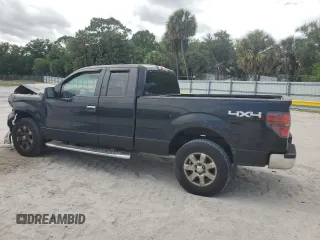 2013 Ford F-150 XL with VIN 1FTFX1EF7DFA59025, listed as a Copart auction lot 55050095 with 102,067 mi miles and Salvage Title. Bid and sale history available at DreamBid. Image 2.