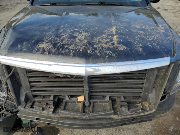 2019 Cadillac Escalade Luxury with VIN 1GYS4BKJ5KR391959, listed as a Copart auction lot 73730244 with 0 mi miles and Salvage Title. Bid and sale history available at carsss.com. Image 13.