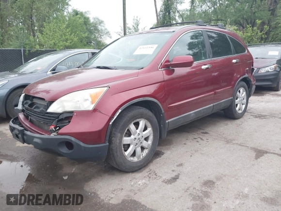 2009 Honda CR-V EX-L with VIN 5J6RE48739L048311, listed as a IAAI auction lot 42122356 with 275,649 mi miles and . Bid and sale history available at carsss.com. Image 2.
