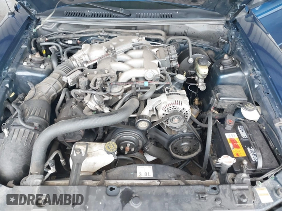 1999 Ford Mustang with VIN 1FAFP4040XF124637, listed as a IAAI auction lot 41793662 with 54,591 mi miles and . Bid and sale history available at DreamBid. Image 10.