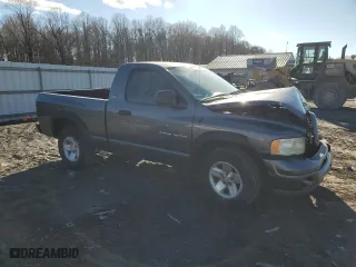 2002 Dodge Ram 1500 with VIN 1D7HA16N12J143907, listed as a Copart auction lot 43896005 with 0 mi miles and Salvage Title. Bid and sale history available at carsss.com. Image 4.