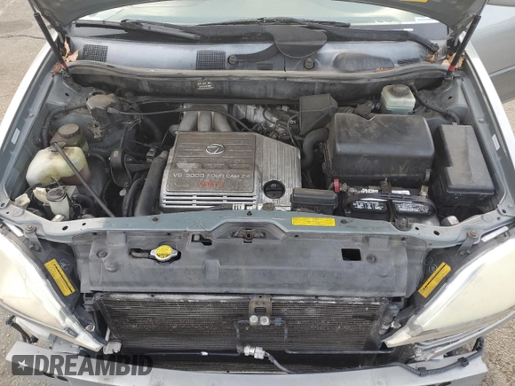 2001 Lexus RX 300 with VIN JTJGF10U310095982, listed as a Copart auction lot 85820124 with 176,883 mi miles and Salvage Title. Bid and sale history available at DreamBid. Image 12.