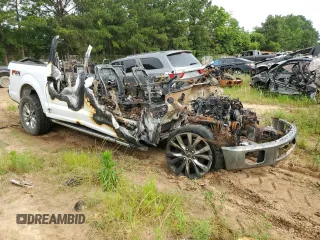 2017 Ford F-150 XL with VIN 1FTEW1EF3HKE49647, listed as a Copart auction lot 56196725 with Not provided miles and Non repairable. Bid and sale history available at DreamBid. Image 4.
