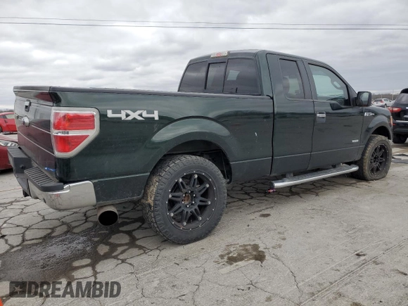 2014 Ford F-150 XL with VIN 1FTFX1ET9EFB82879, listed as a Copart auction lot 49855315 with 142,217 mi miles and Salvage title. Bid and sale history available at DreamBid. Image 3.