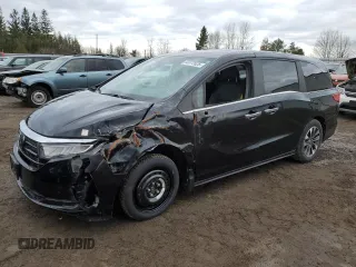 2024 Honda Odyssey EX-L with VIN 5FNRL6H69RB501705, listed as a Copart auction lot 53372625 with 29,603 mi miles and Clean Title. Bid and sale history available at DreamBid. Image 1.