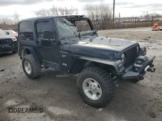 2002 Jeep Wrangler Sport with VIN 1J4FA49S22P751916, listed as a Copart auction lot 43386935 with 0 mi miles and Non Repairable. Bid and sale history available at carsss.com. Image 4.