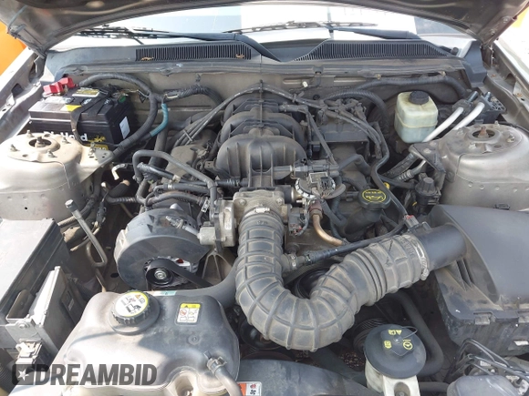 2005 Ford Mustang Deluxe with VIN 1ZVFT84N955183489, listed as a IAAI auction lot 42473437 with 221,709 mi miles and . Bid and sale history available at DreamBid. Image 10.