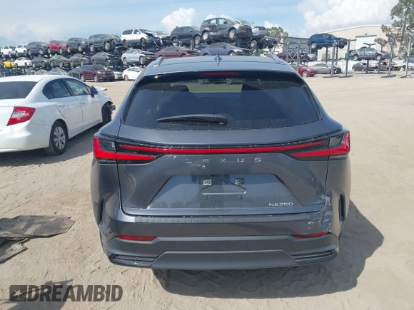 2022 Lexus NX 250 z VIN JTJADCAZ3N5001089, wystawiony jako IAAI lot #42383681 z przebiegiem 30 119 mil mil oraz . Historia ofert i sprzedaży dostępna na DreamBid. Obrazek 16.