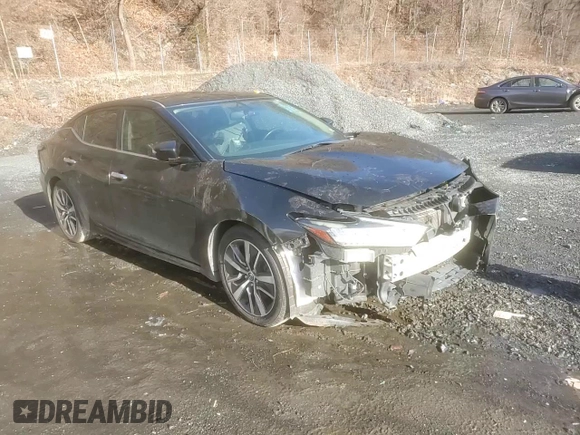 2019 Nissan Maxima SV with VIN 1N4AA6AV1KC372727, listed as a Copart auction lot 49873135 with 115,712 mi miles and Salvage Title. Bid and sale history available at DreamBid. Image 11.
