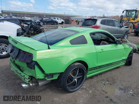 2013 Ford Mustang V6 with VIN 1ZVBP8AM1D5243147, listed as a IAAI auction lot 41975801 with Not provided miles and . Bid and sale history available at DreamBid. Image 4.