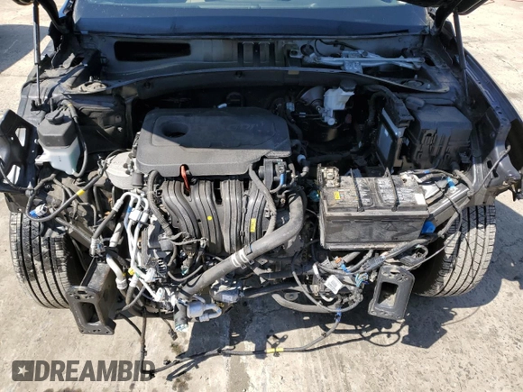 2020 Hyundai Santa Fe SEL with VIN 5NMS3CADXLH291954, listed as a Copart auction lot 49865405 with 39,773 mi miles and Salvage Title. Bid and sale history available at carsss.com. Image 12.