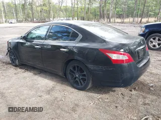 2009 Nissan Maxima SV with VIN 1N4AA51E39C841742, listed as a IAAI auction lot 41964426 with 165,199 mi miles and . Bid and sale history available at DreamBid. Image 3.