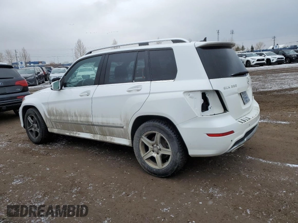 2015 Mercedes-Benz GLK 350 with VIN WDCGG8JB3FG408429, listed as a Copart auction lot 49486745 with 192,463 mi miles and Salvage Title. Bid and sale history available at DreamBid. Image 2.