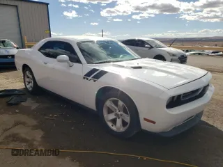2013 Dodge Challenger R/T with VIN 2C3CDYBT3DH535790, listed as a Copart auction lot 48529355 with 250,497 mi miles and Salvage Title. Bid and sale history available at carsss.com. Image 4.