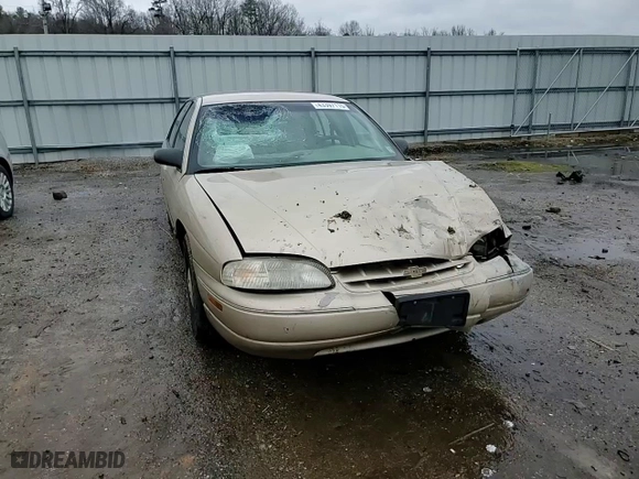 1998 Chevrolet Lumina with VIN 2G1WL52M4W9241338, listed as a Copart auction lot 43397115 with 167,251 mi miles and Salvage Title. Bid and sale history available at carsss.com. Image 11.