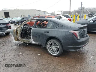 2024 Cadillac CT5 Sport z VIN 1G6DU5RK9R0123044, wystawiony jako Copart lot #81665724 z przebiegiem Nie podano mil oraz Szkoda całkowita • Salvage title. Historia ofert i sprzedaży dostępna na DreamBid. Obrazek 2.