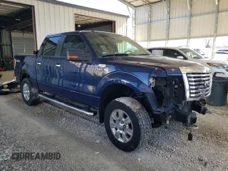 2011 Ford F-150 XL with VIN 1FTFW1EF9BKD91703, listed as a Copart auction lot 46070345 with 205,267 mi miles and Salvage Title. Bid and sale history available at carsss.com. Image 4.