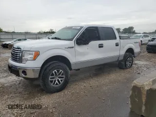 2012 Ford F-150 XL with VIN 1FTFW1EF8CFA47385, listed as a Copart auction lot 54059614 with 95,599 mi miles and Salvage title. Bid and sale history available at DreamBid. Image 1.