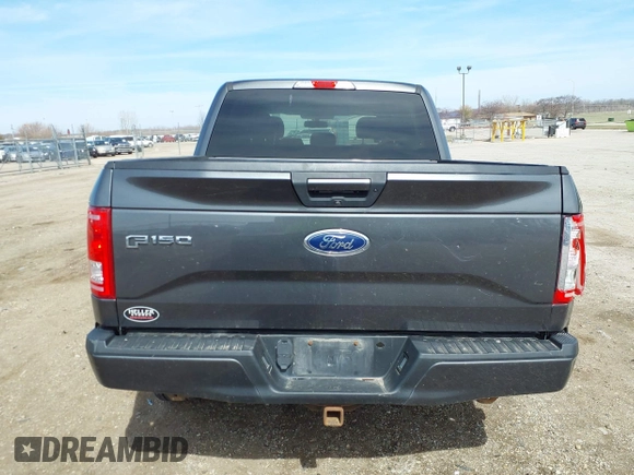 2017 Ford F-150 XL with VIN 1FTEW1EP5HFC13843, listed as a IAAI auction lot 41846415 with 125,277 mi miles. Bid and sale history available at carsss.com. Image 17.